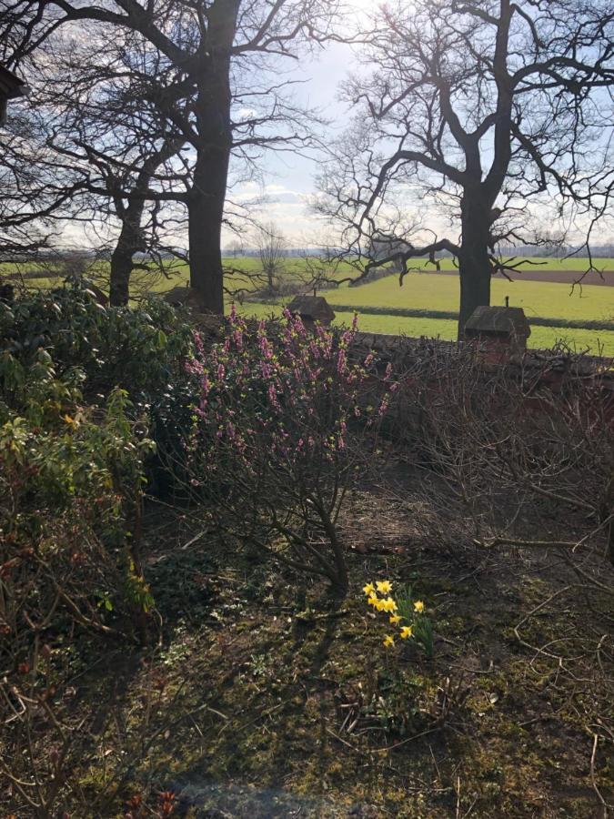 Altes Backhaus Bauernhof Vogel Lejlighed Rohrsen Eksteriør billede